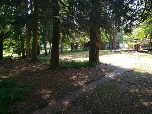 a view of road and trees