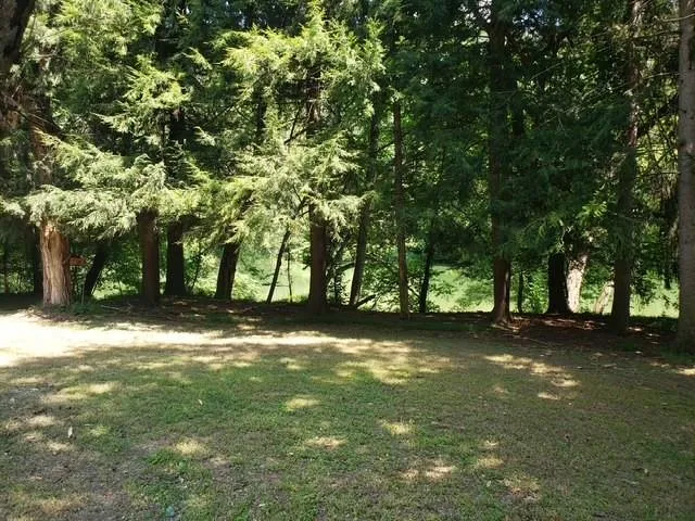 a view of yard with green space