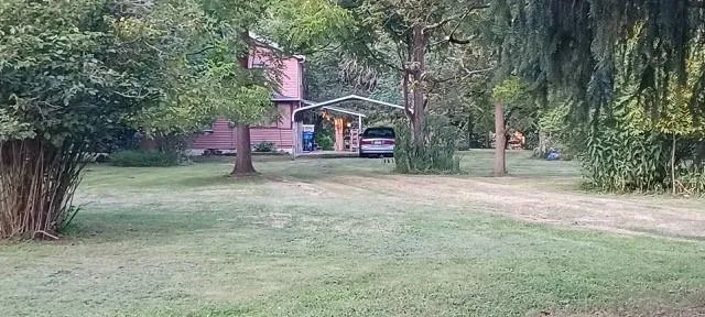 a house is sitting in middle of the forest