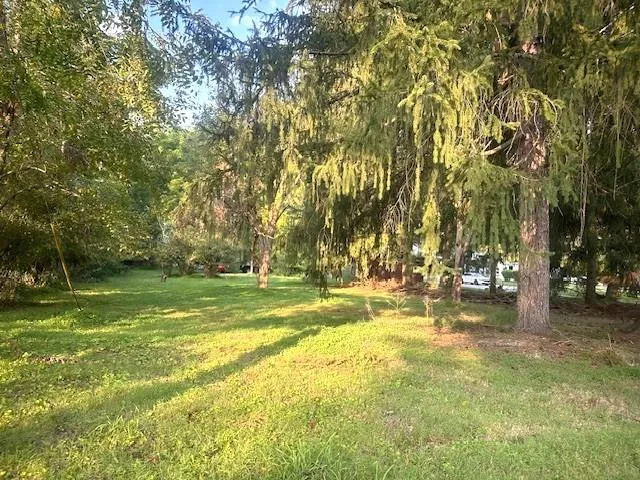 a view of a yard with a trees