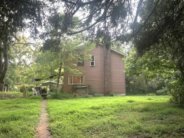 a view of a backyard with plants and large trees