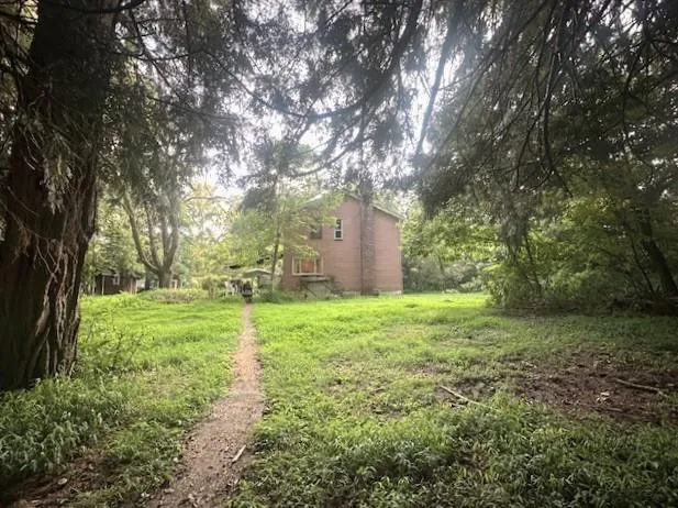 a view of a big yard with plants and large trees