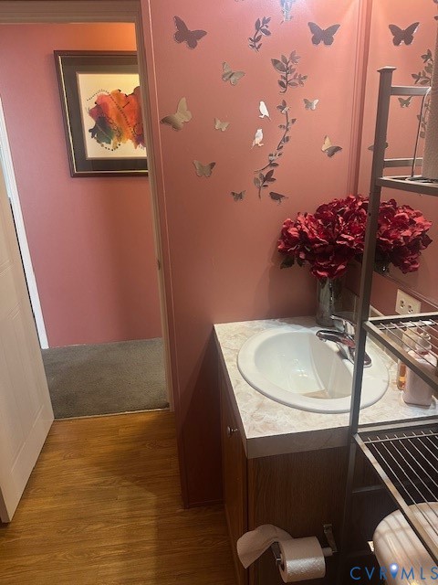 16738 Loco School Road Yale, VA 23897 - Photo 20 of 33 a bathroom with a sink and a mirror
