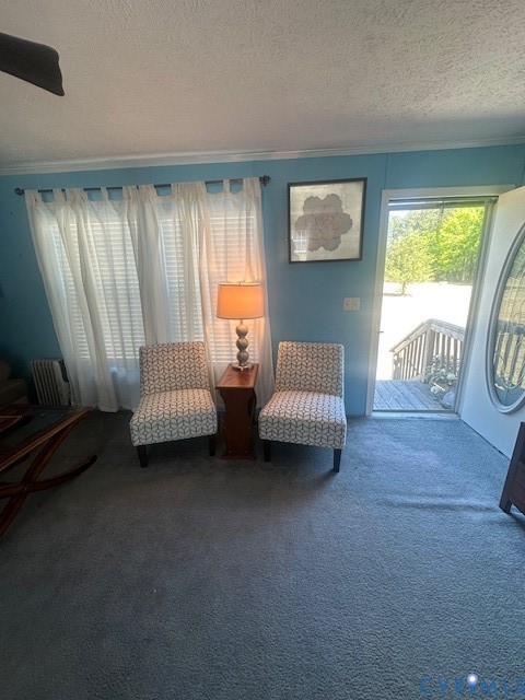 16738 Loco School Road Yale, VA 23897 - Photo 3 of 33 a living room with furniture and a window