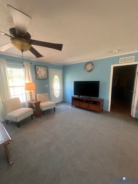 16738 Loco School Road Yale, VA 23897 - Photo 4 of 33 a living room with furniture and a window