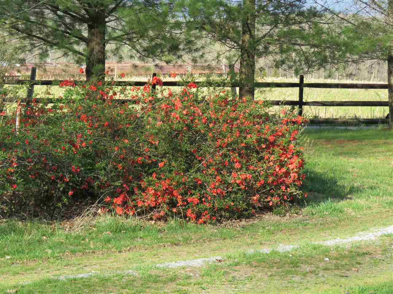 4052 Bloomer Springs Road Elkton, VA 22827 - Photo 30 of 42 Gallery Image 30