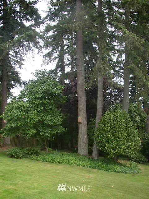 108 Virginia Place Longview, WA 98632 - Photo 5 of 22 Gallery Image 5