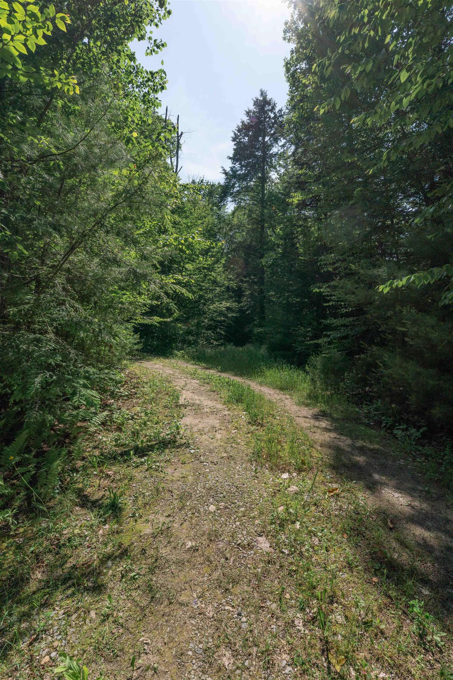 149 Branch Road Weare, NH 03281 - Photo 6 of 10