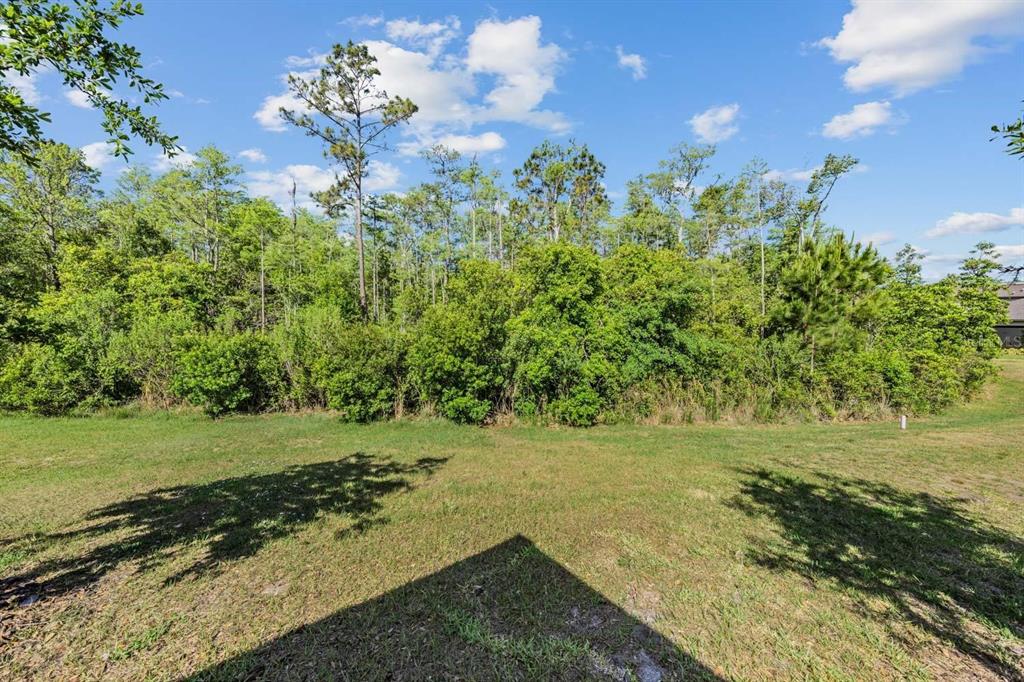 16595 Shell Bay Drive Land O Lakes, FL 34638 - Photo 23 of 46