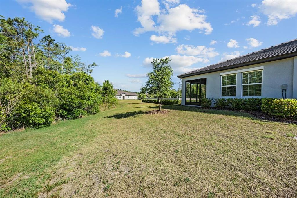 16595 Shell Bay Drive Land O Lakes, FL 34638 - Photo 24 of 46
