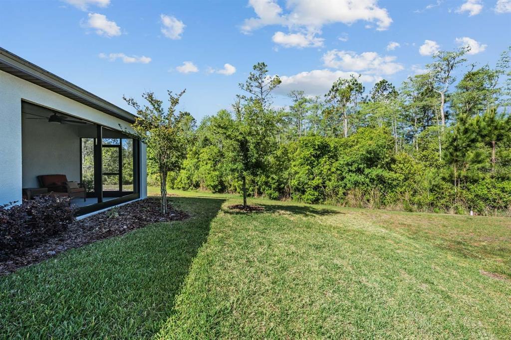 16595 Shell Bay Drive Land O Lakes, FL 34638 - Photo 25 of 46
