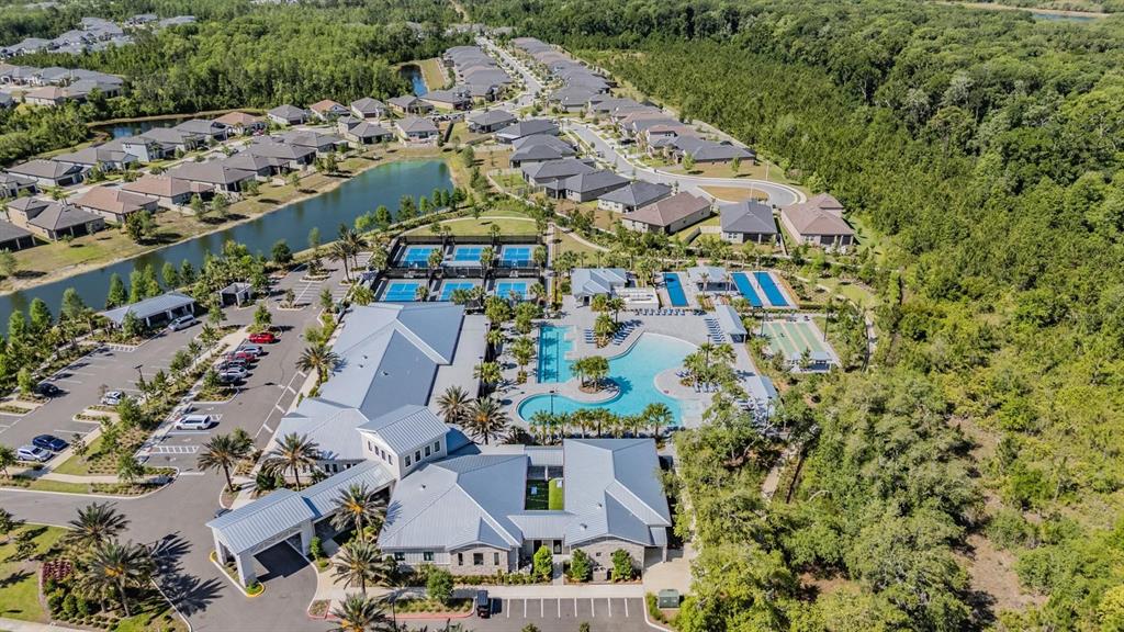 16595 Shell Bay Drive Land O Lakes, FL 34638 - Photo 27 of 46