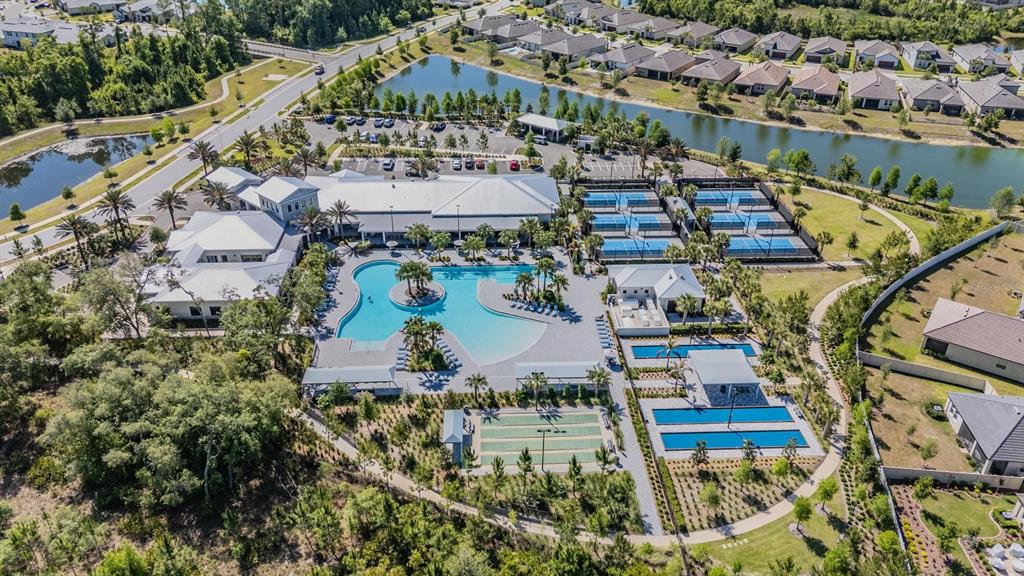 16595 Shell Bay Drive Land O Lakes, FL 34638 - Photo 28 of 46