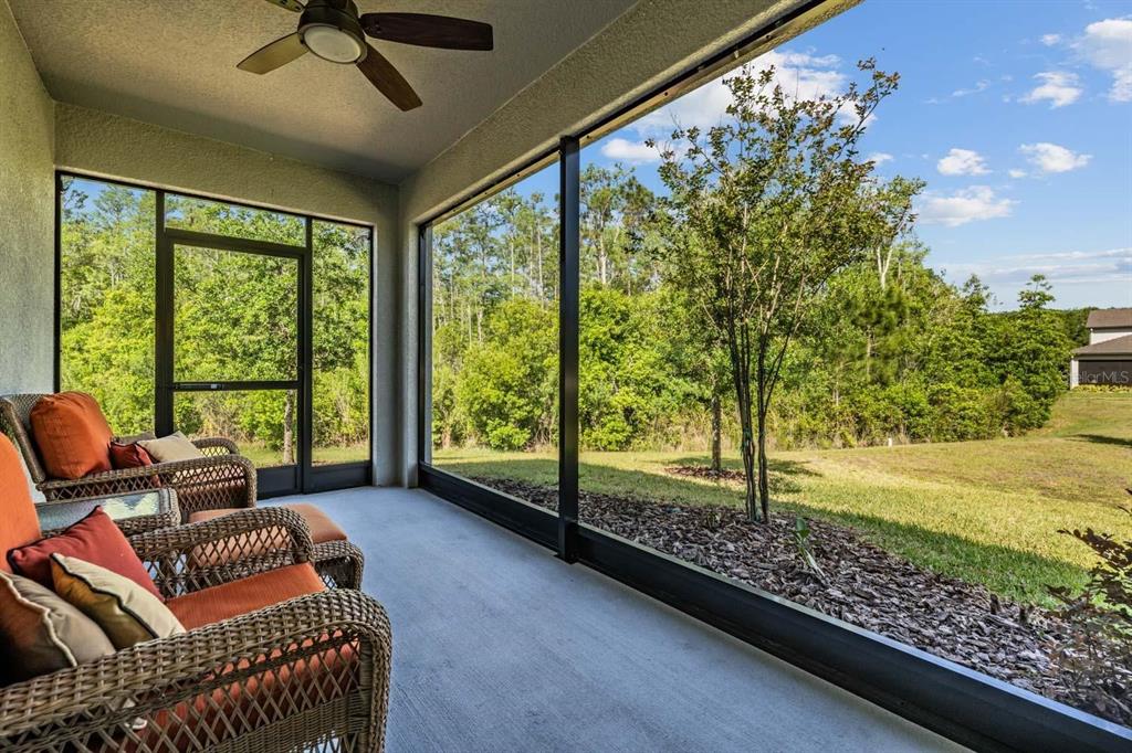 16595 Shell Bay Drive Land O Lakes, FL 34638 - Photo 4 of 46