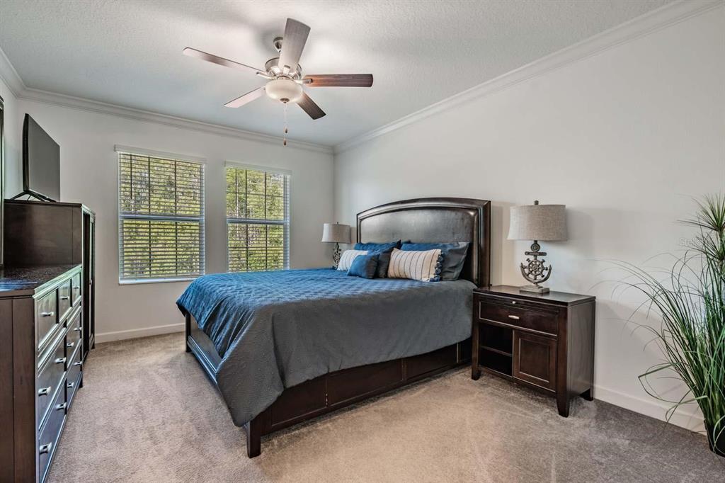16595 Shell Bay Drive Land O Lakes, FL 34638 - Photo 6 of 46