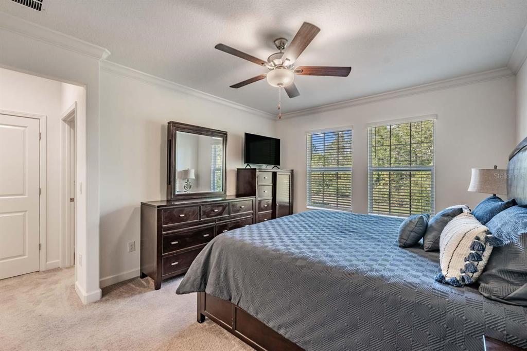 16595 Shell Bay Drive Land O Lakes, FL 34638 - Photo 7 of 46