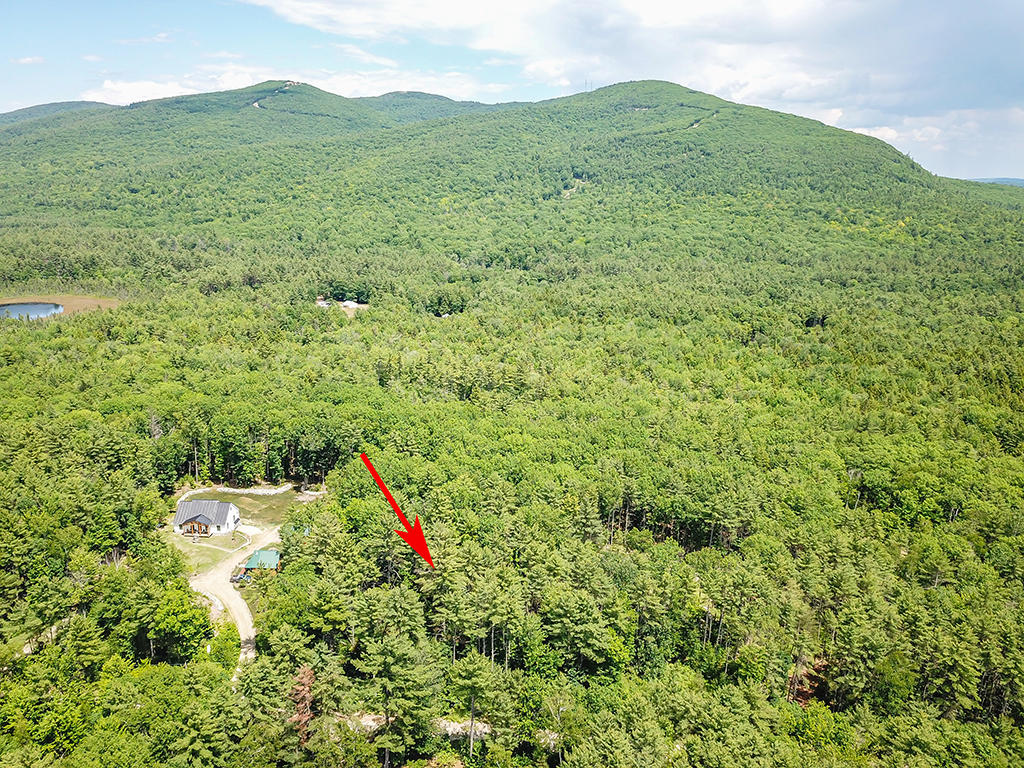 Lot 9 Smith Road Denmark, ME 04022 - Photo 29 of 34 924-Denmark-land-summer2020A