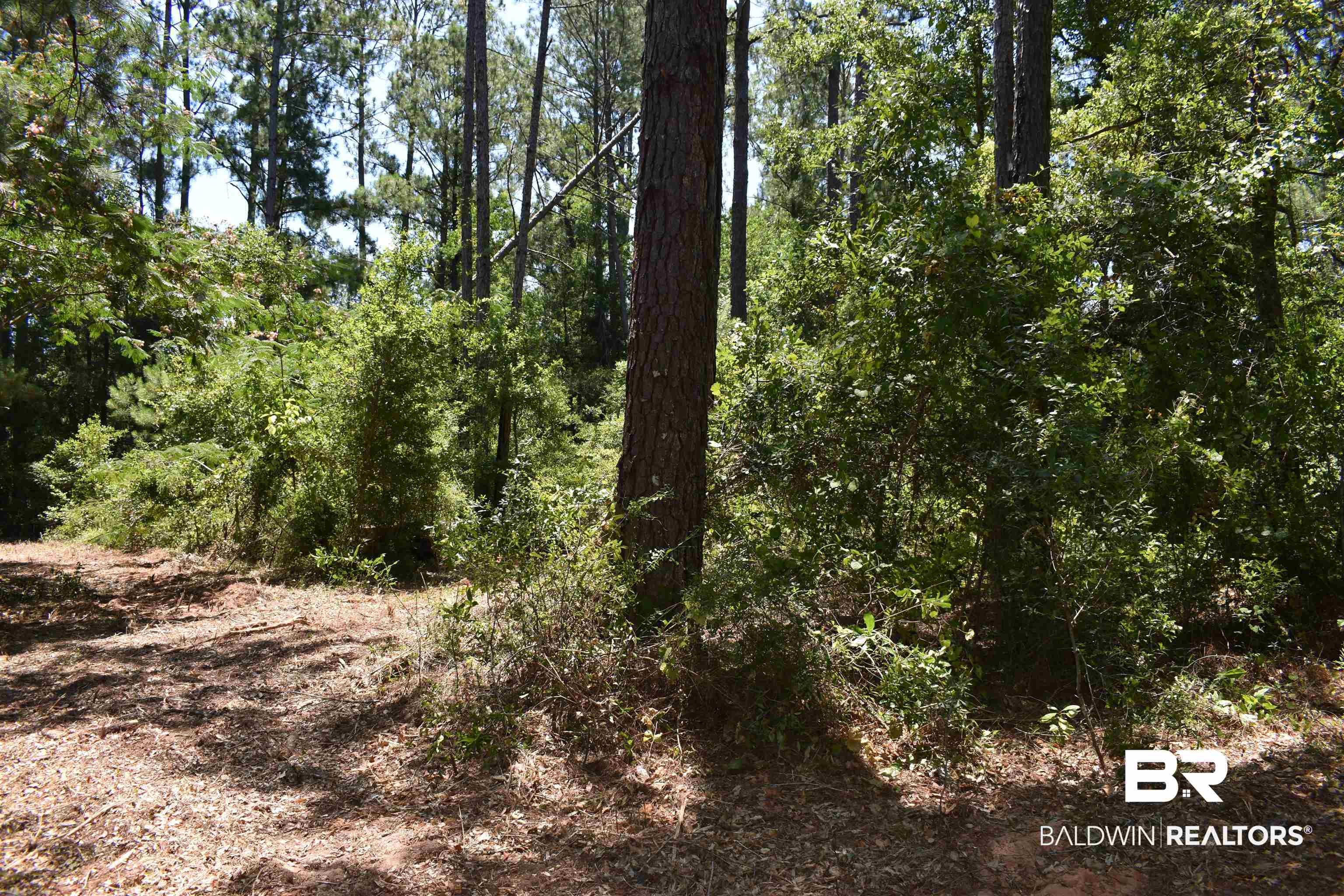 17655 River Road Summerdale, AL 36580 - Photo 10 of 17