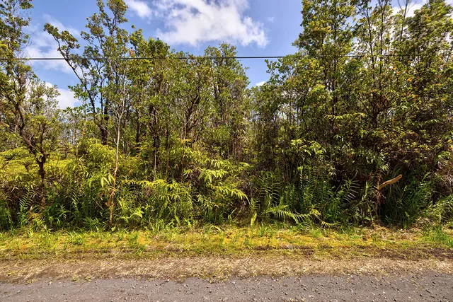 a view of outdoor space and a yard
