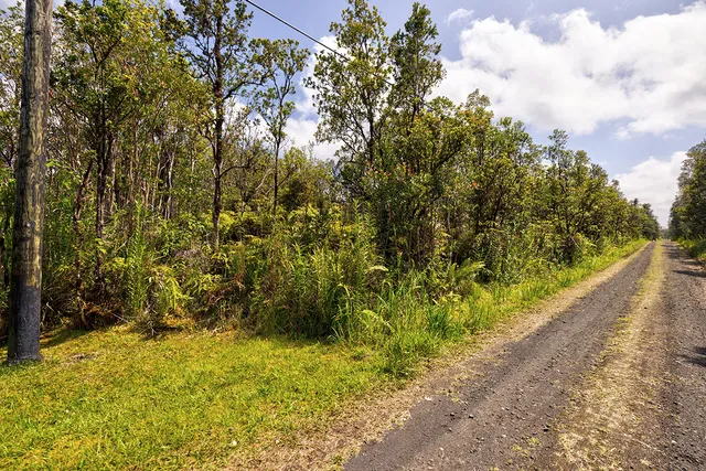 a view of a pathway both side of yard