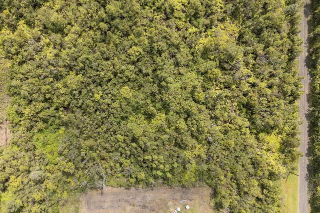 a close up of a wall