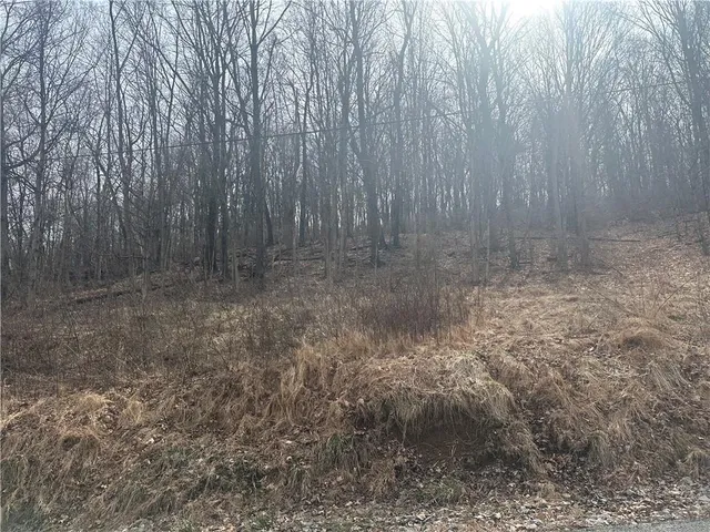 a view of a yard with trees in the background