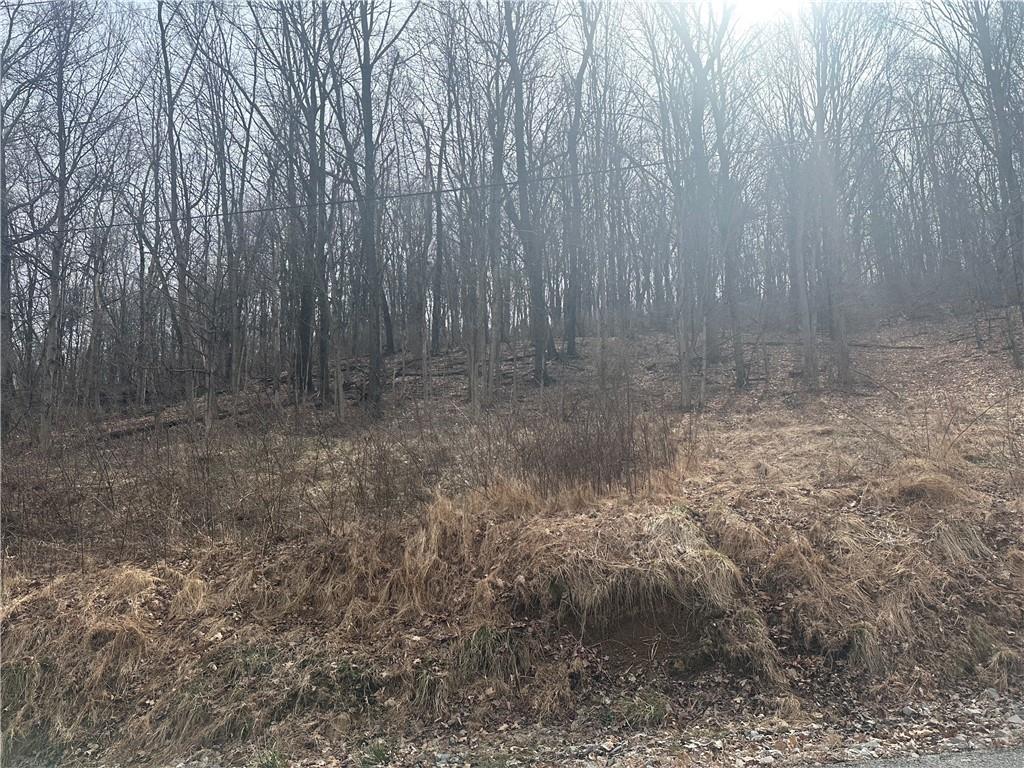 Lot 6 Ten School Road Blairsville, PA 15717 - Photo 2 of 2 a view of a yard with trees in the background
