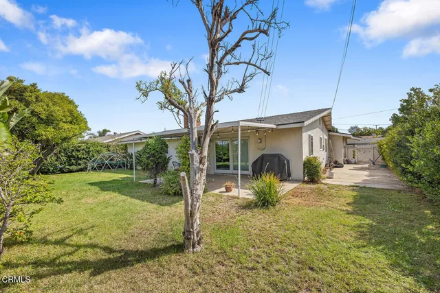 a view of a garden with a slide