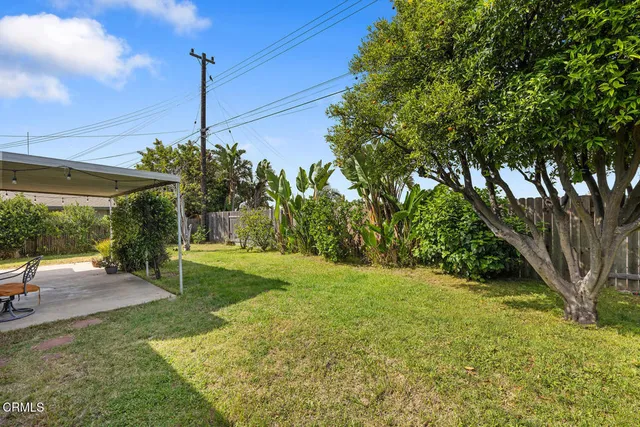 a view of a garden with a tree in the background