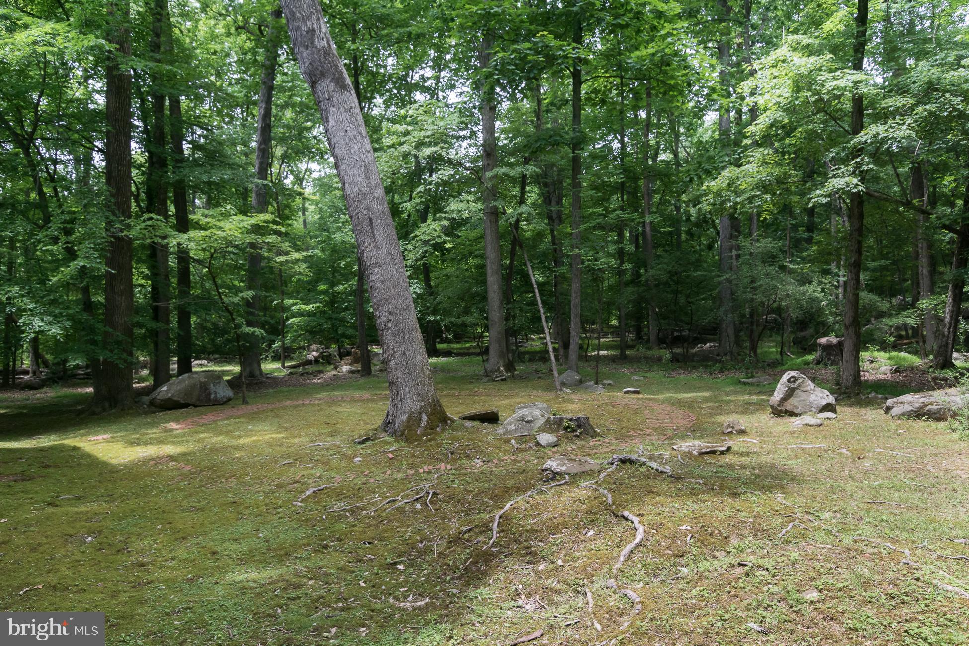 1221 Stuart Road Princeton, NJ 08540 - Photo 25 of 25