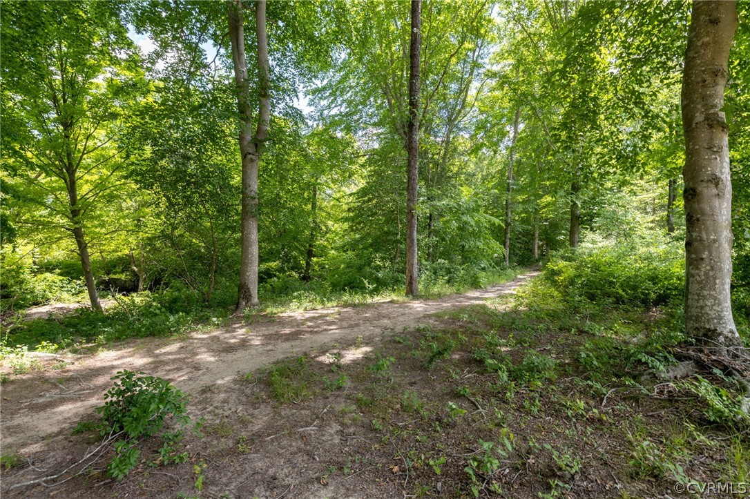10946 Pointer Holly Path Glen Allen, VA 23059 - Photo 45 of 48 a view of a forest with trees in the background