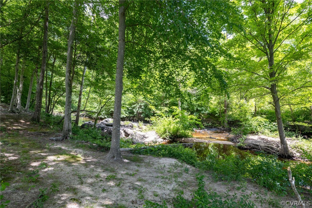 10946 Pointer Holly Path Glen Allen, VA 23059 - Photo 46 of 48 a backyard of a house with lots of green space