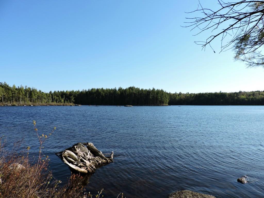 Lot #14 Short Point Way Orland, ME 04472 - Photo 2 of 17 Photo