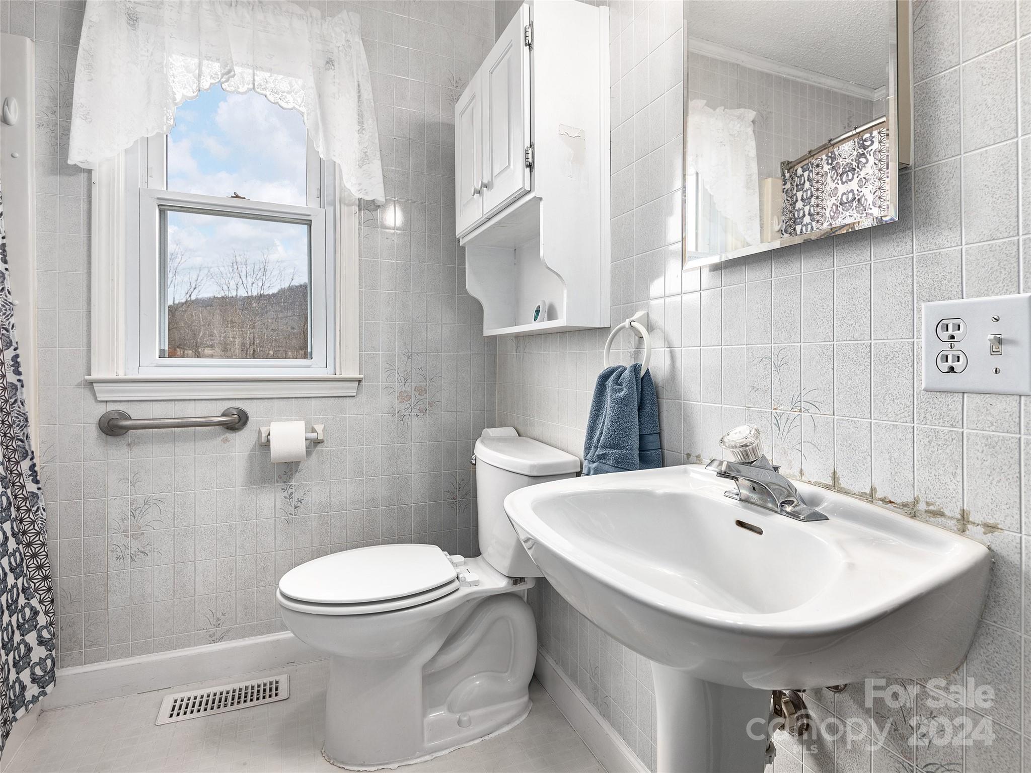 704 Mulberry Street Clyde, NC 28721 - Photo 13 of 36 a bathroom with a sink a toilet and a mirror