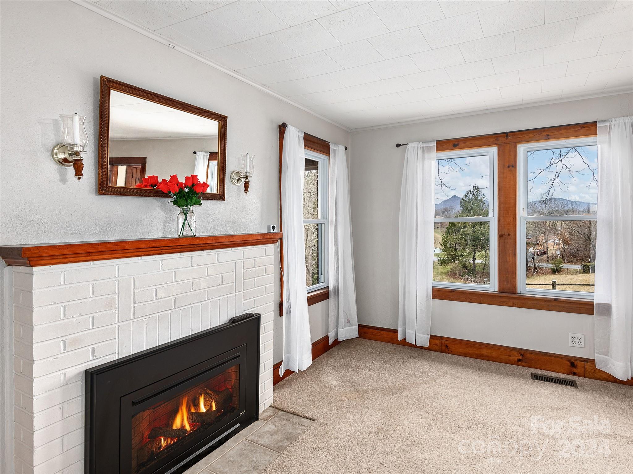 704 Mulberry Street Clyde, NC 28721 - Photo 4 of 36 a living room with furniture and a fireplace