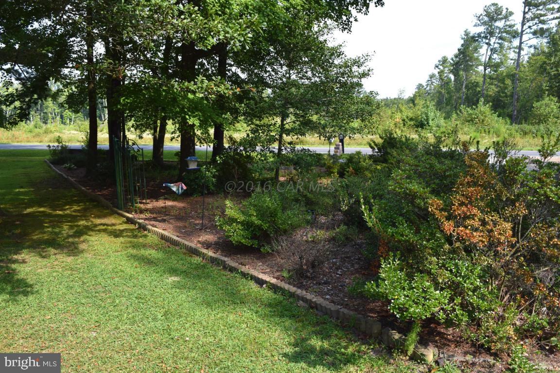 31991 Dagsboro Road Parsonsburg, MD 21849 - Photo 5 of 47 Gallery Image 5