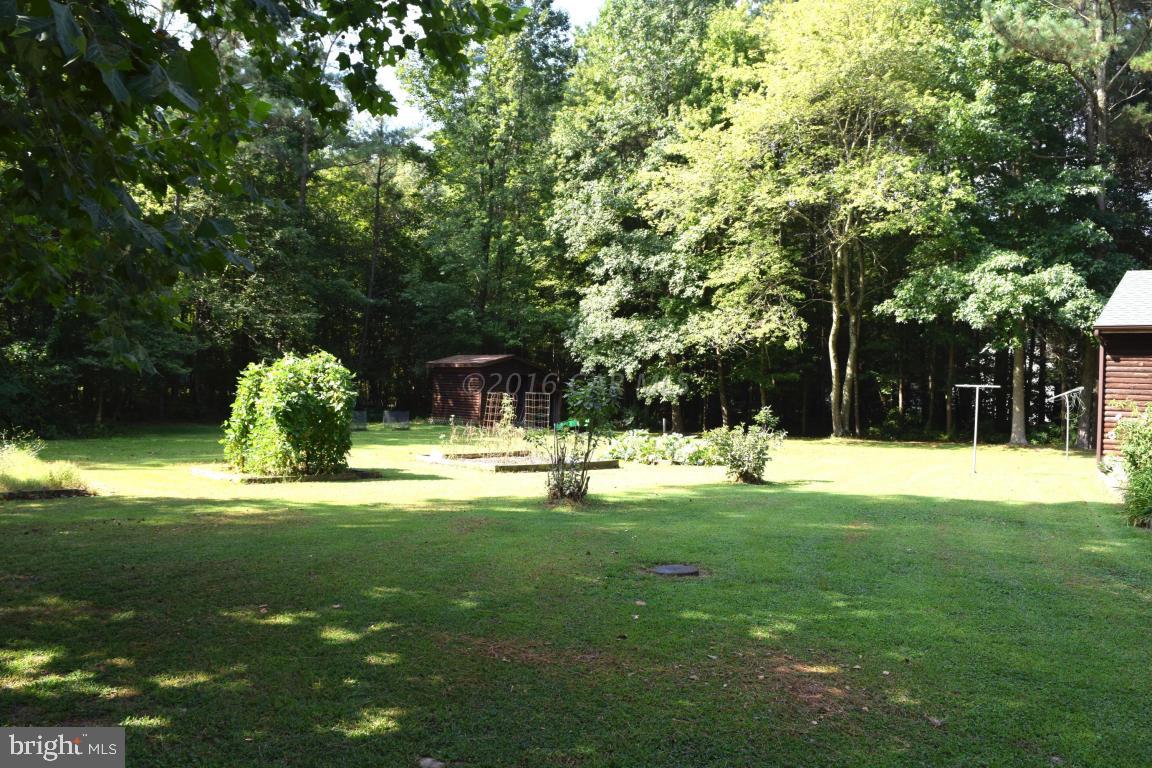 31991 Dagsboro Road Parsonsburg, MD 21849 - Photo 44 of 47 Gallery Image 44
