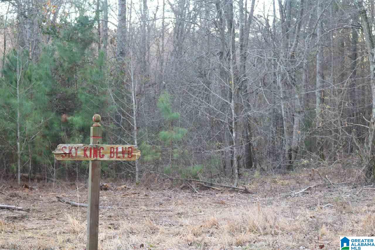 0 County Road 928, Unit 36 Delta, AL 36258 - Photo 9 of 20
