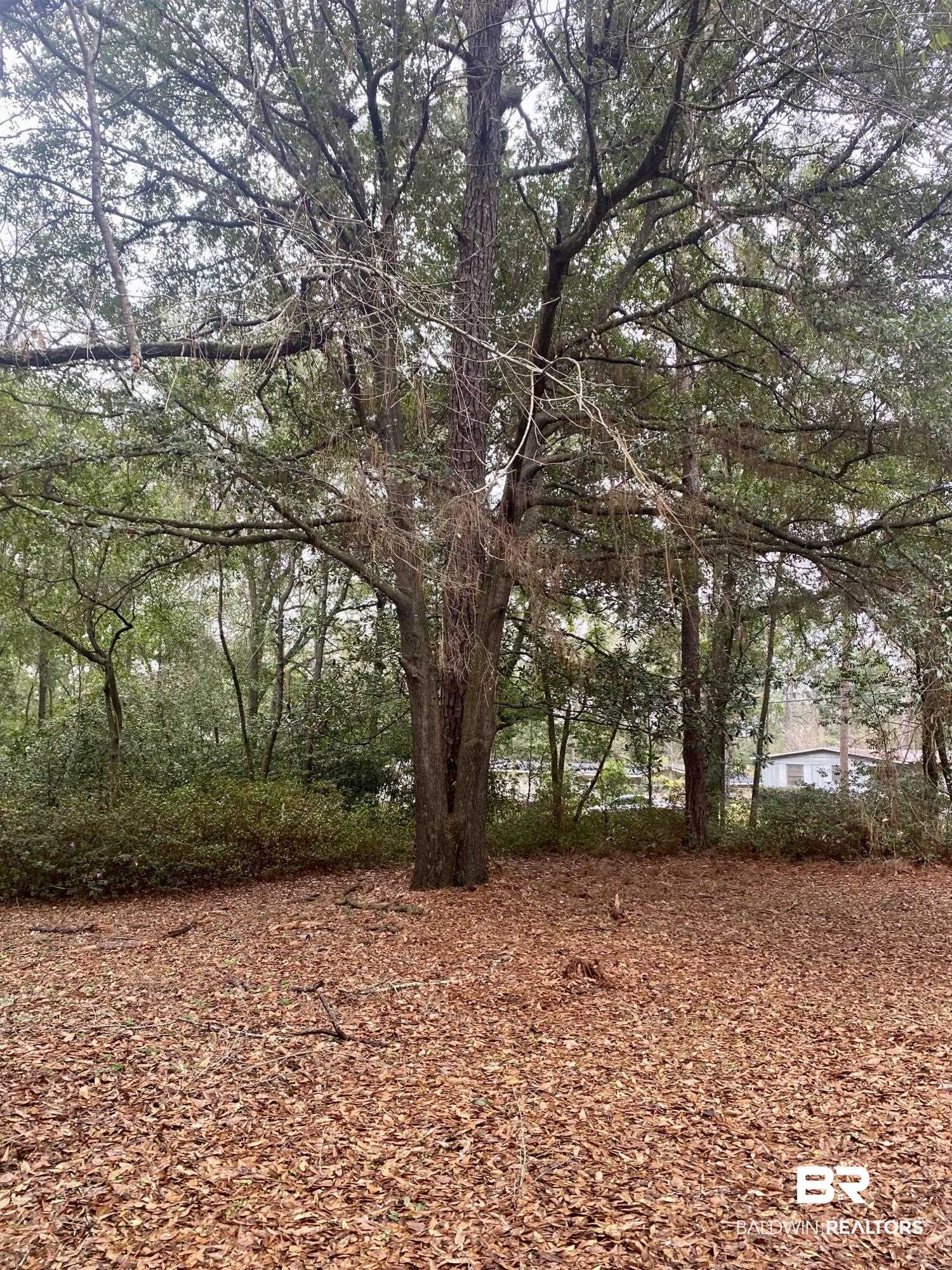 325 Bomar Place Mobile, AL 36609 - Photo 11 of 15