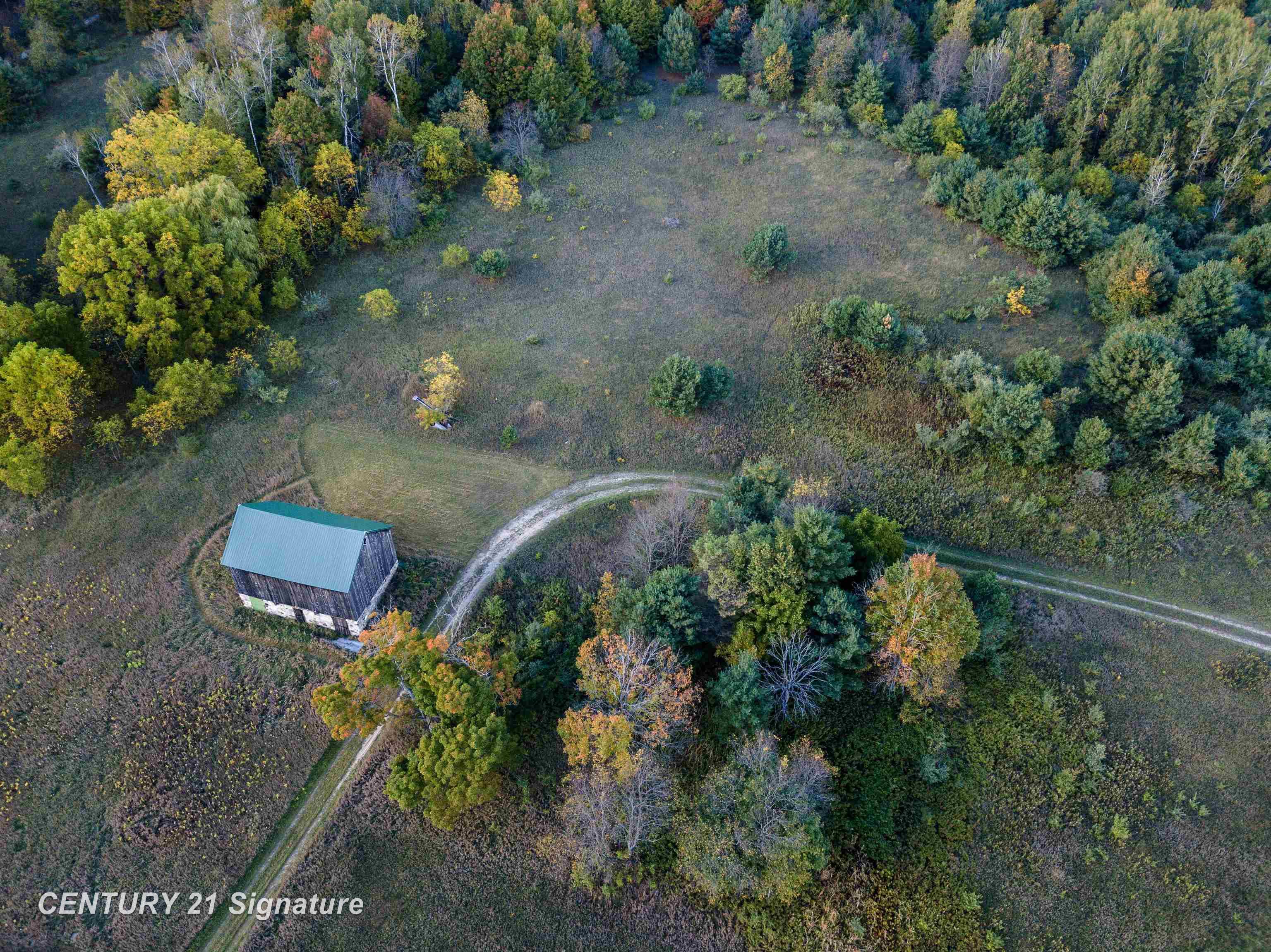 V/l Ritt Road Breckenridge, MI 48615 - Photo 3 of 11
