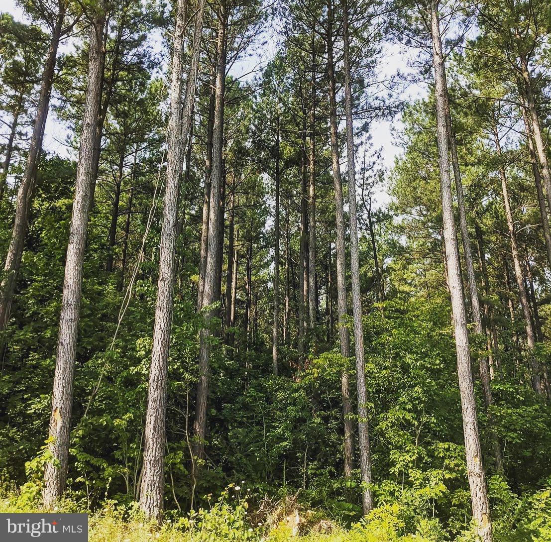 Rainbow Way Front Royal, VA 22630 - Photo 11 of 17