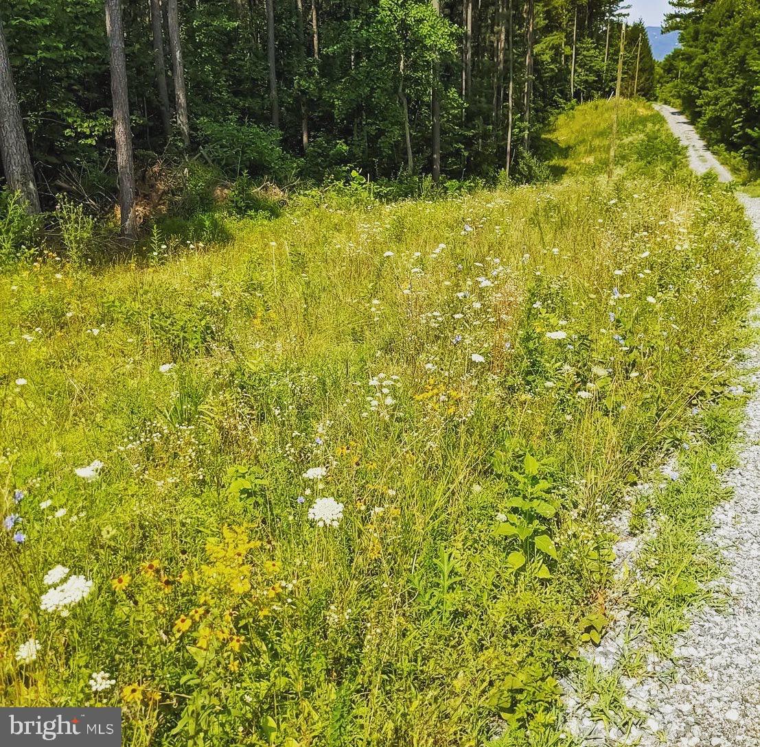 Rainbow Way Front Royal, VA 22630 - Photo 12 of 17