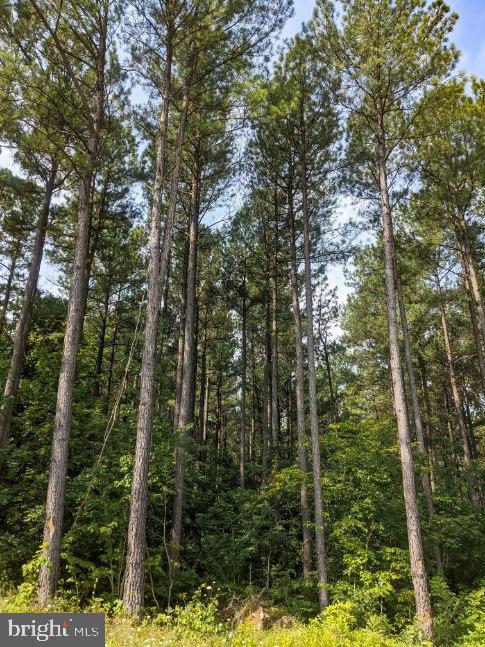 Rainbow Way Front Royal, VA 22630 - Photo 13 of 17