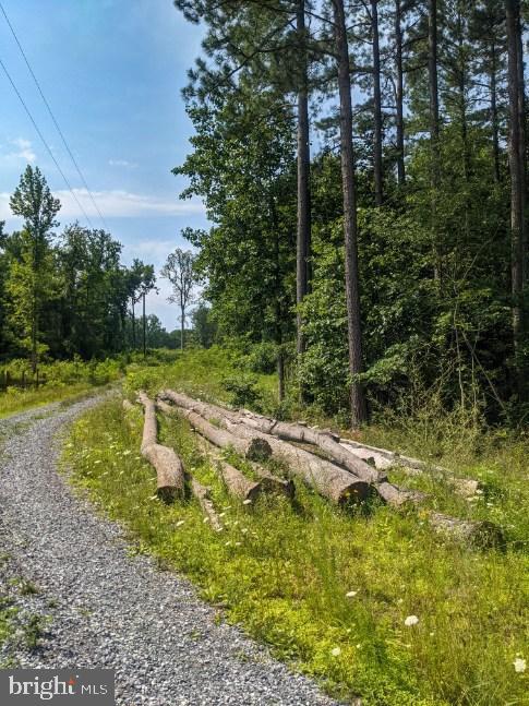 Rainbow Way Front Royal, VA 22630 - Photo 15 of 17