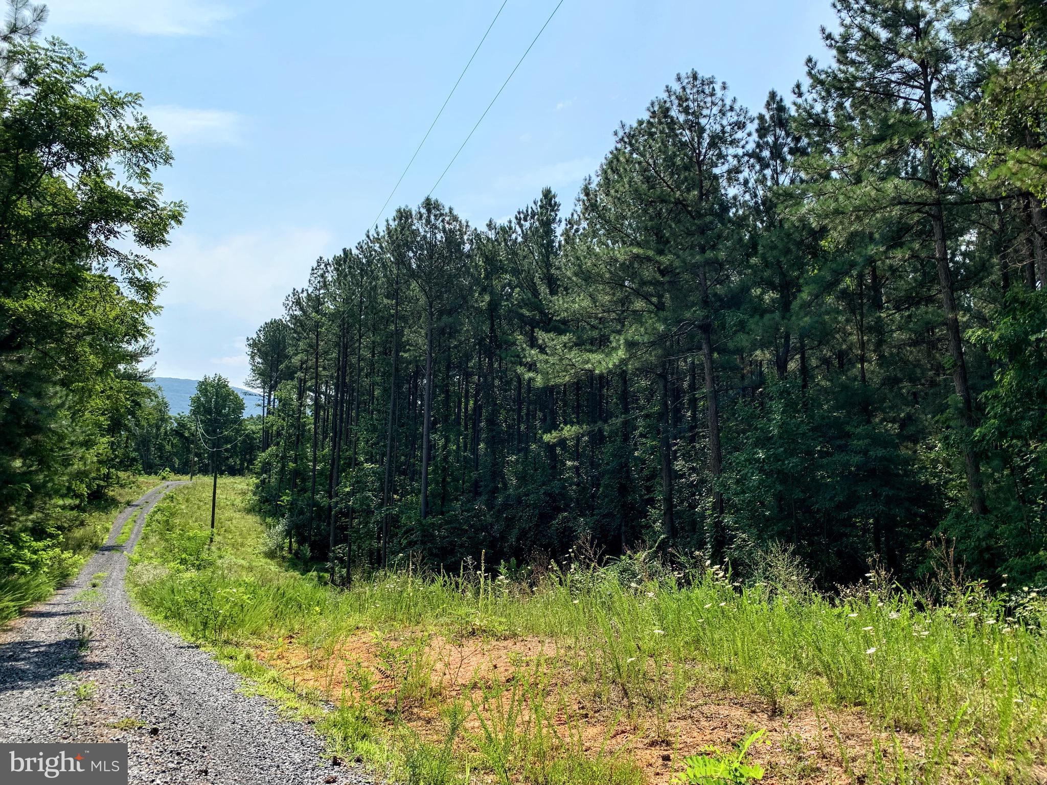 Rainbow Way Front Royal, VA 22630 - Photo 16 of 17