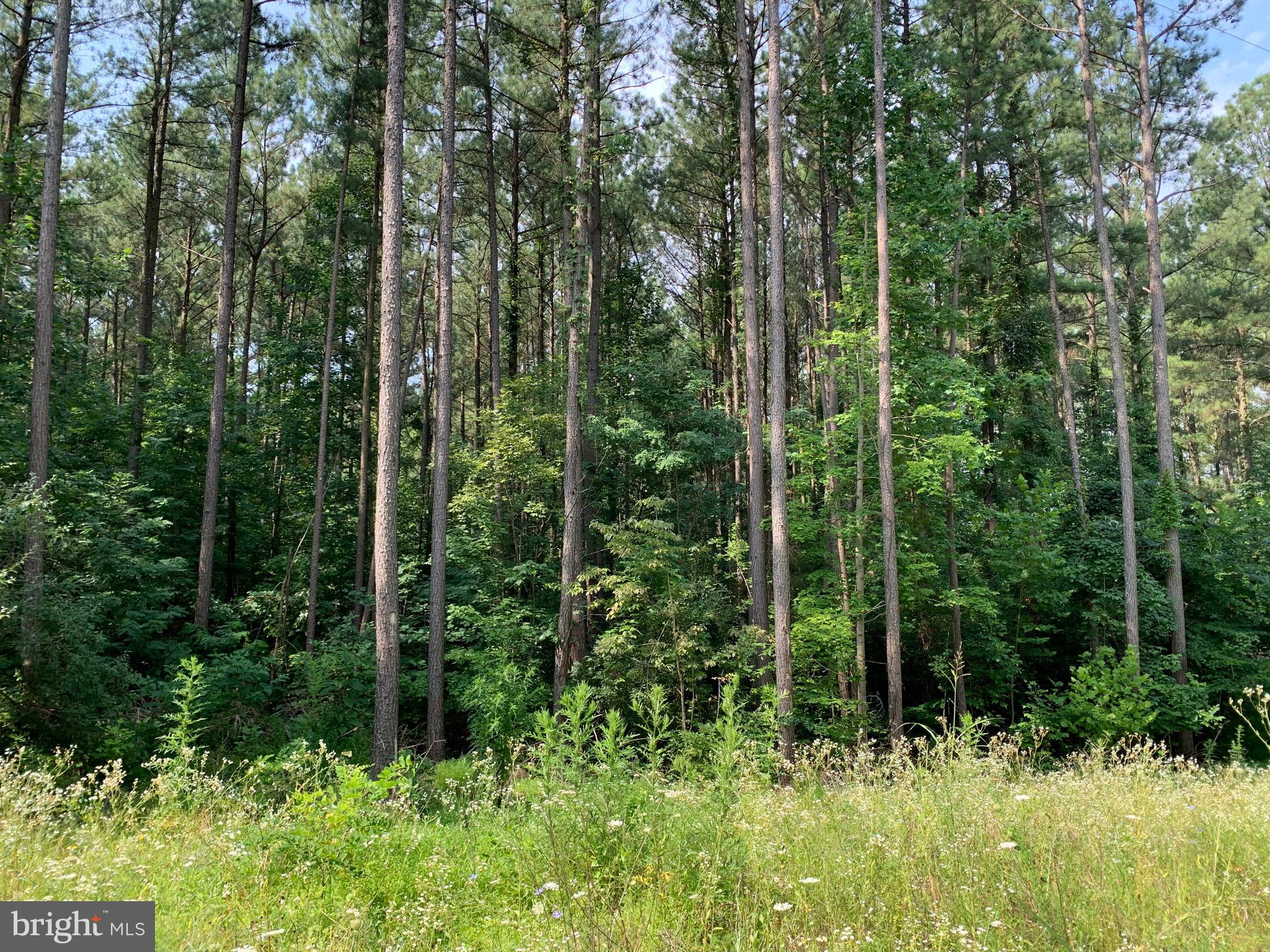 Rainbow Way Front Royal, VA 22630 - Photo 17 of 17