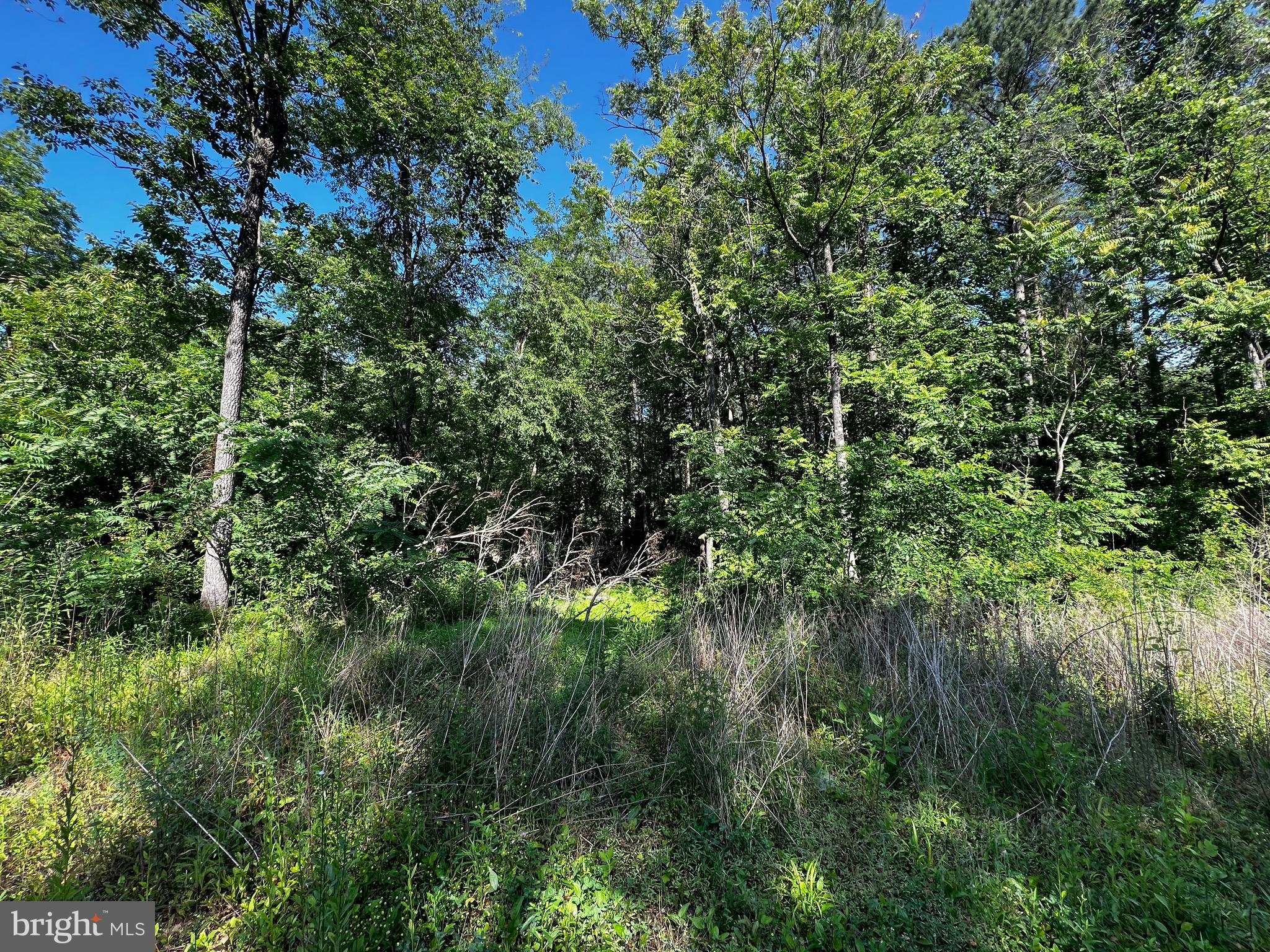 Rainbow Way Front Royal, VA 22630 - Photo 3 of 17