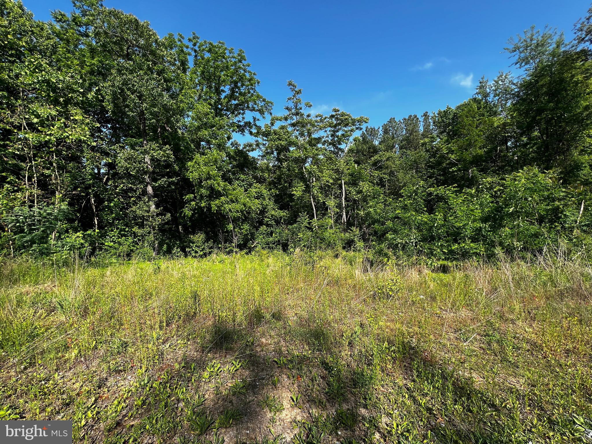 Rainbow Way Front Royal, VA 22630 - Photo 4 of 17