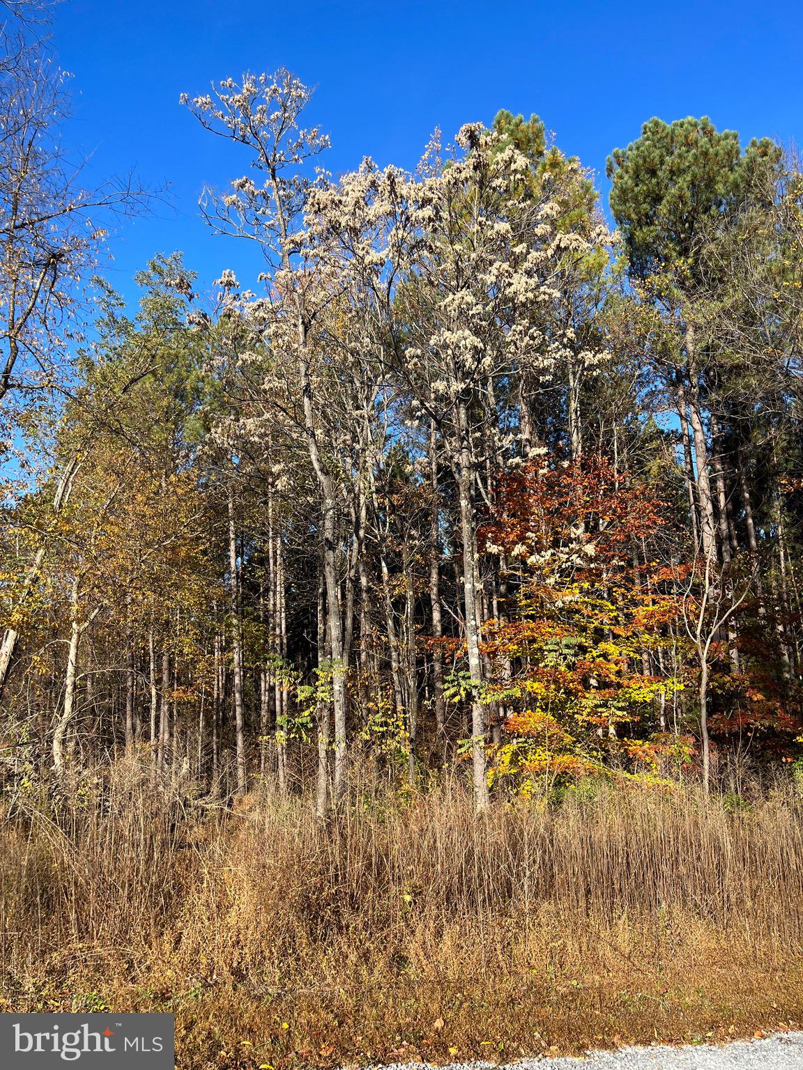 Rainbow Way Front Royal, VA 22630 - Photo 5 of 17