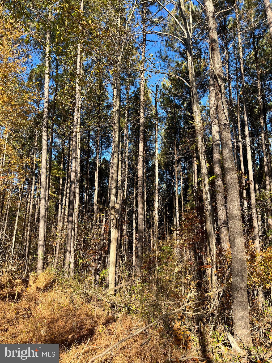 Rainbow Way Front Royal, VA 22630 - Photo 6 of 17